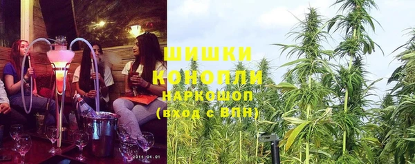соль ск Алексин