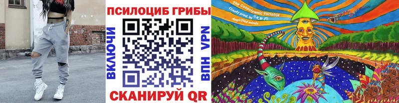 Псилоцибиновые грибы Psilocybine cubensis где можно купить наркотик Жуков